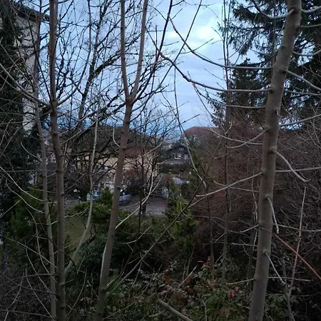 Cosi Apartman